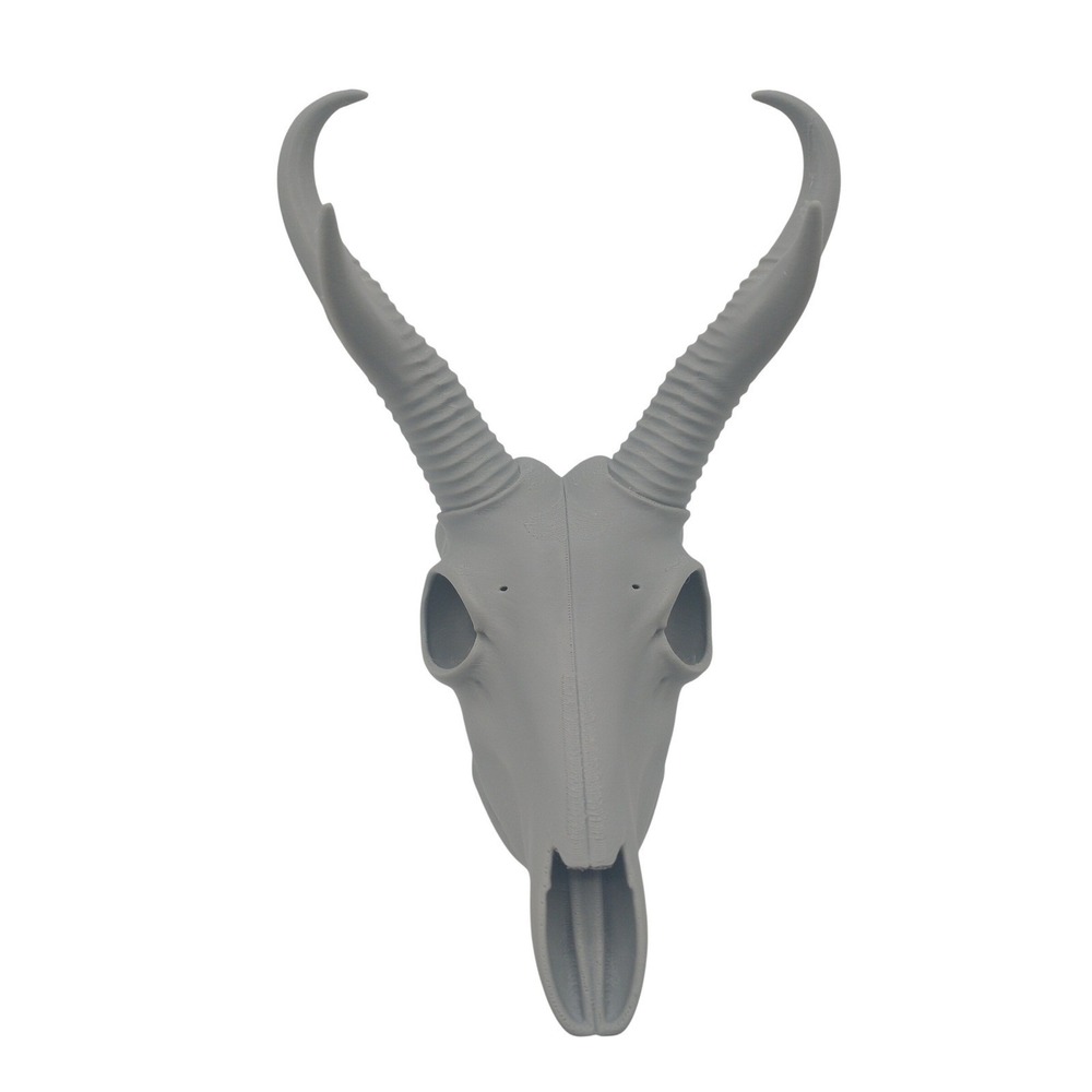 Gray 3D Printed Pronghorn Antelope Skull Replica Faux Taxidermy Wall Decor 8.5"